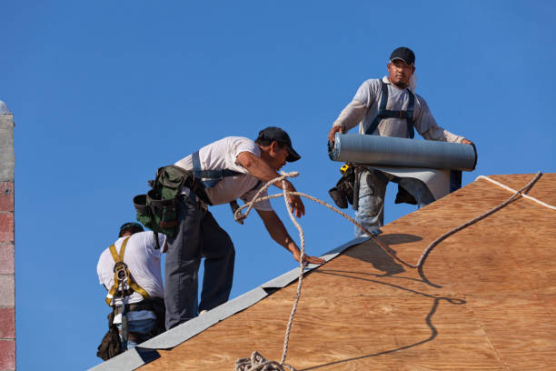 Best Best Roofing Contractors  in Inkster, MI