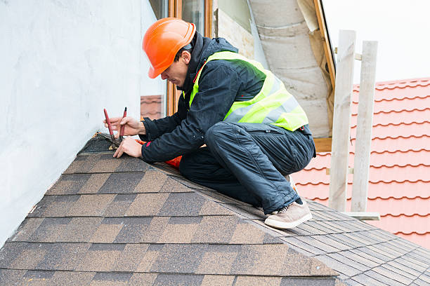 Best Metal Roofing Contractor  in Inkster, MI