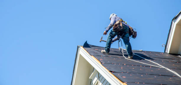 Best Roof Gutter Cleaning  in Inkster, MI